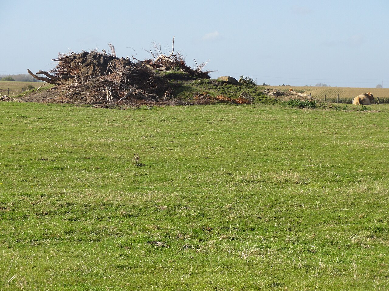 Église Saint-Pierre d'Ames