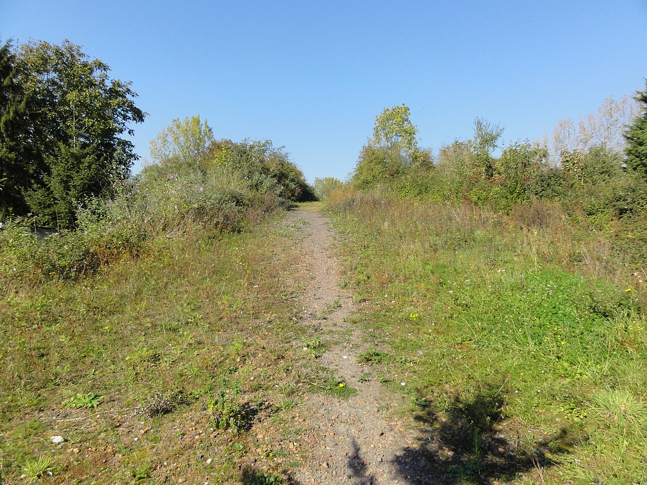 Église Saint-Pierre d'Ames