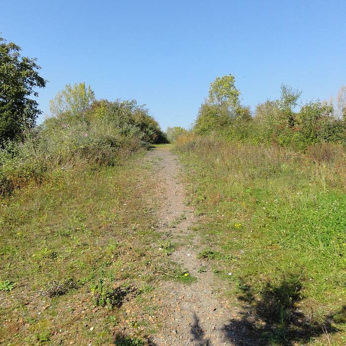 Photo de Église Saint-Pierre dAmes