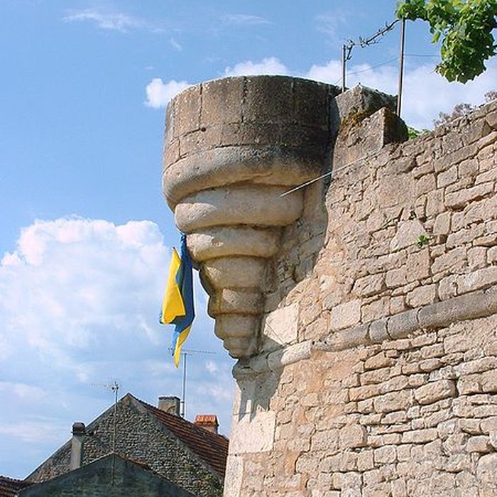 Photo de Enceinte de Montréal dans lYonne