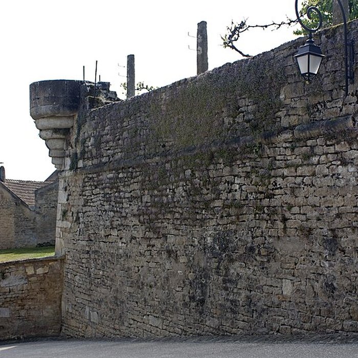 Photo de Enceinte de Montréal dans lYonne