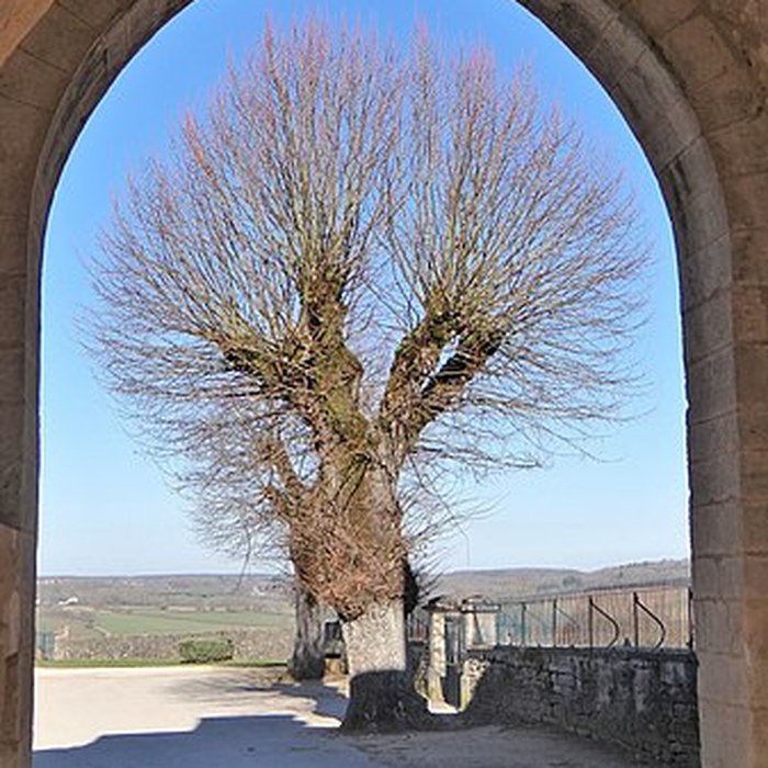 Photo de Enceinte de Montréal dans lYonne