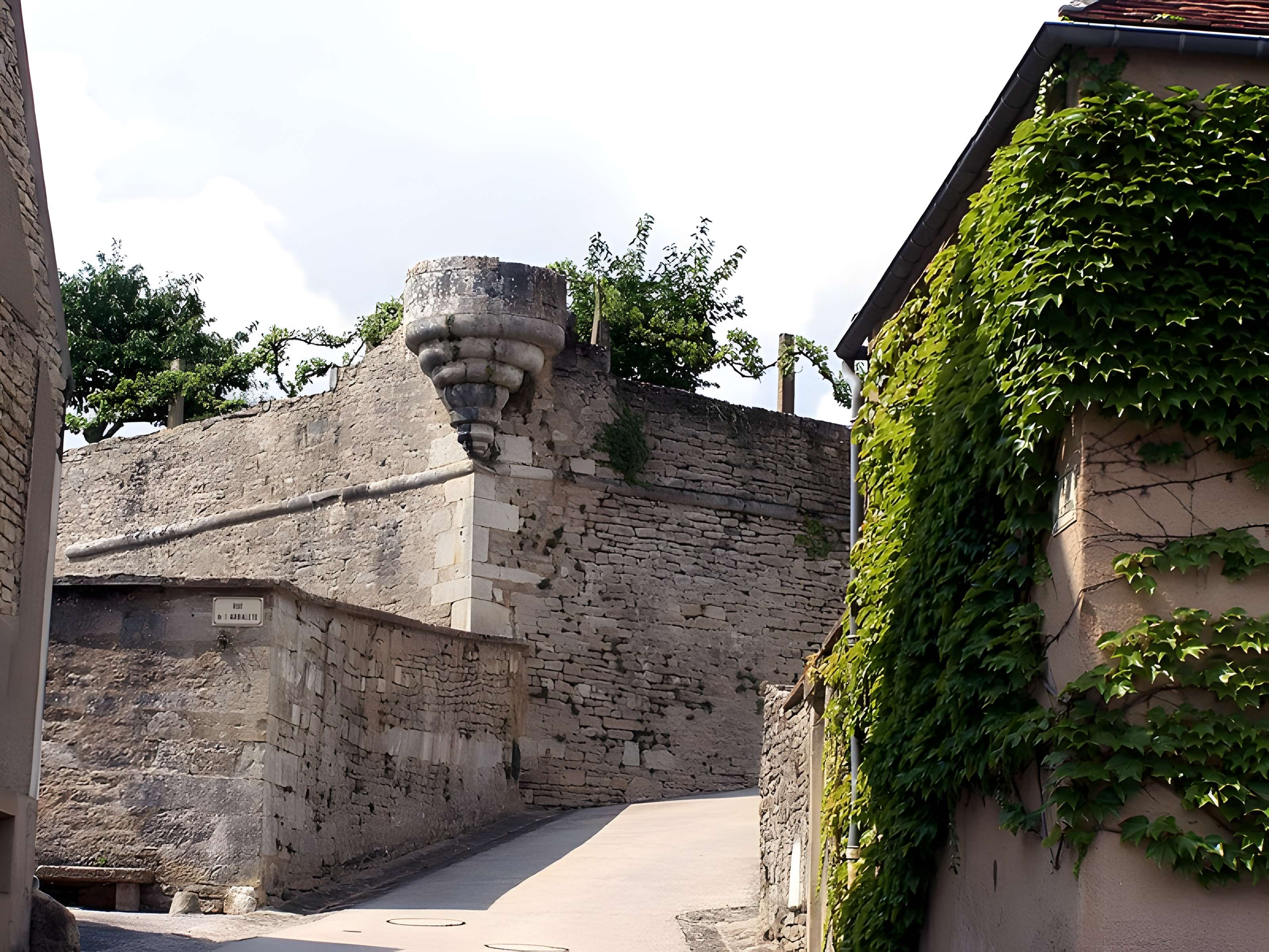 Enceinte de Montréal dans l'Yonne