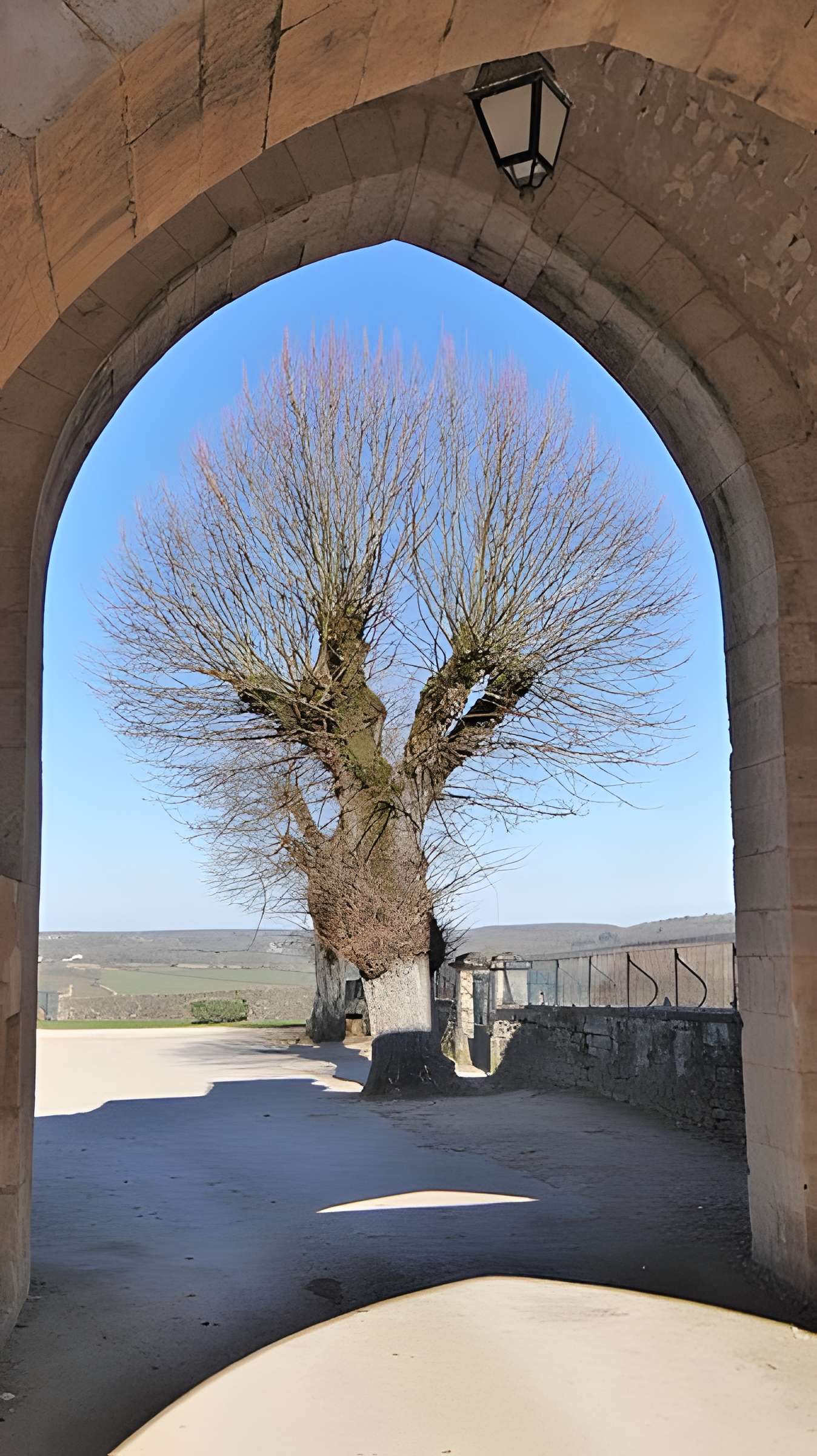 Enceinte de Montréal dans l'Yonne