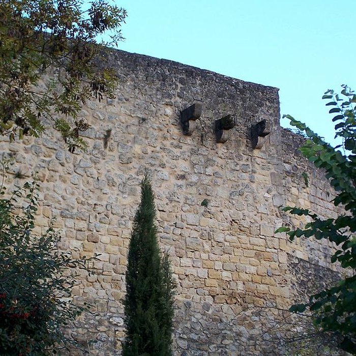 Photo de Enceinte de Rions