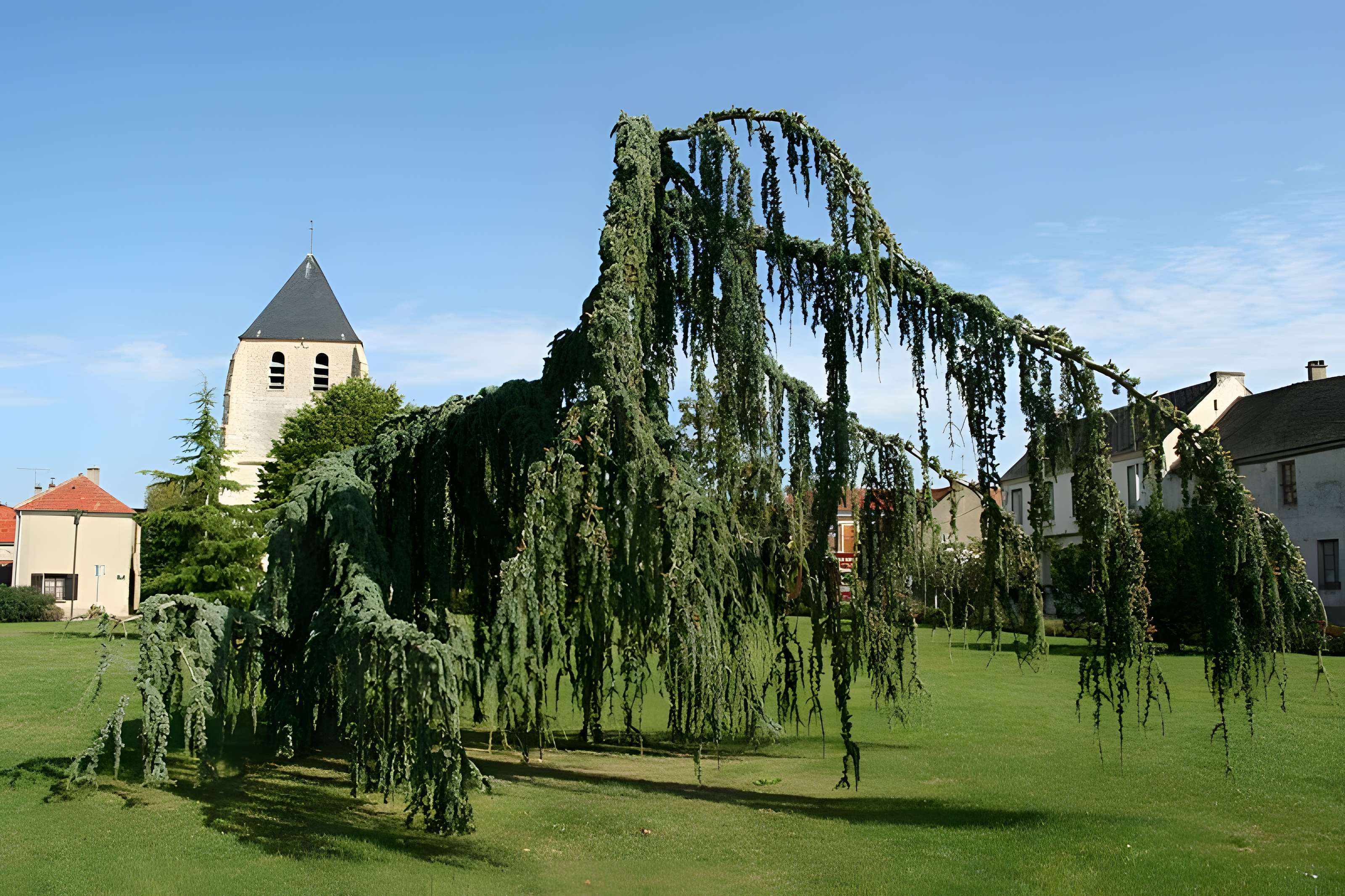 Église Saint-Pierre de Longnes