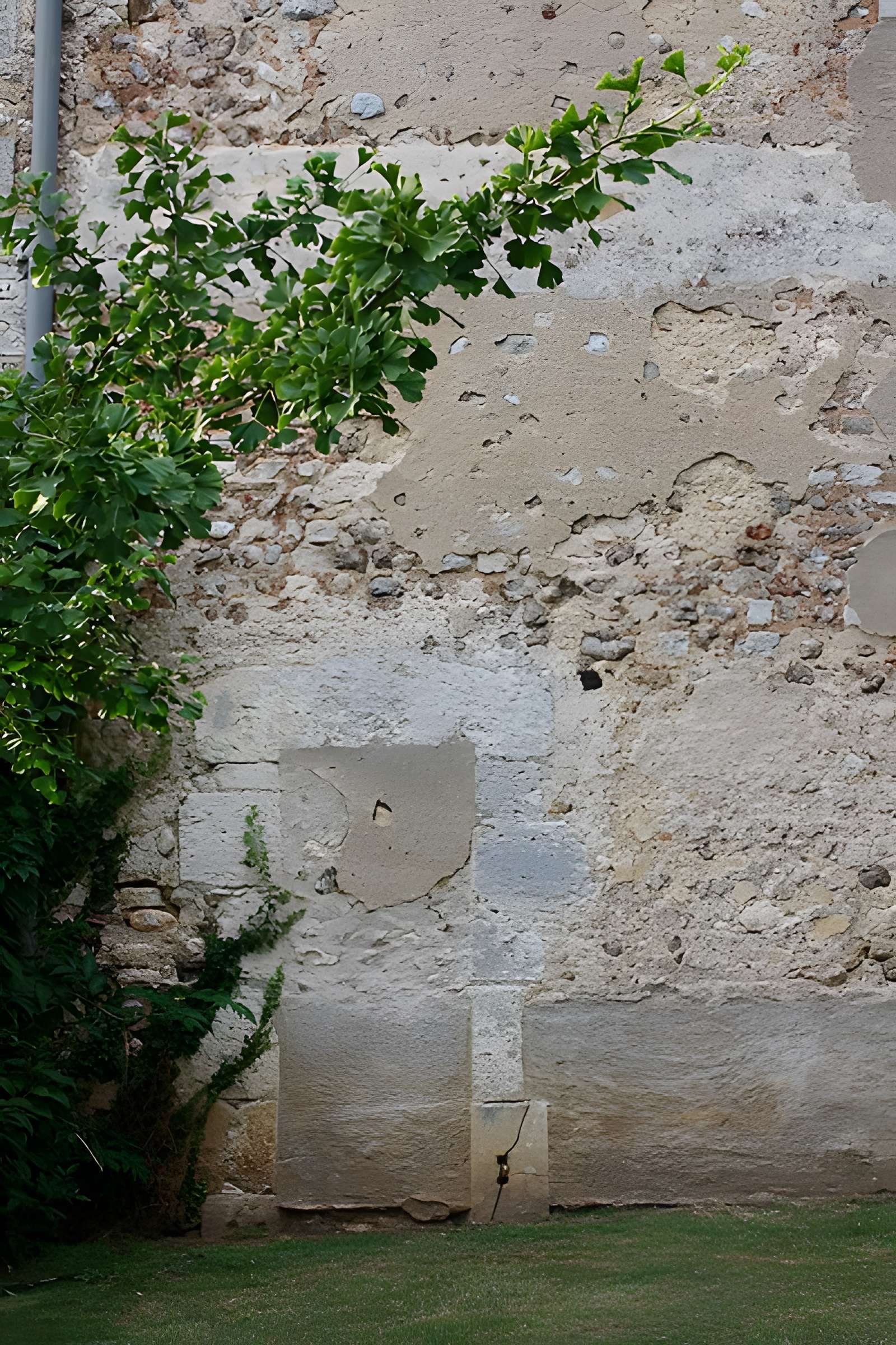 Église Saint-Pierre de Marboué