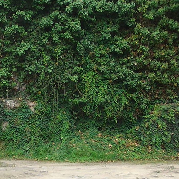 Photo de Enceinte gallo-romaine de Nantes