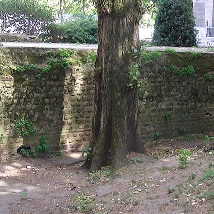 Photo de Enceinte gallo-romaine de Nantes