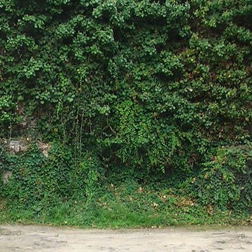 Enceinte gallo-romaine de Nantes