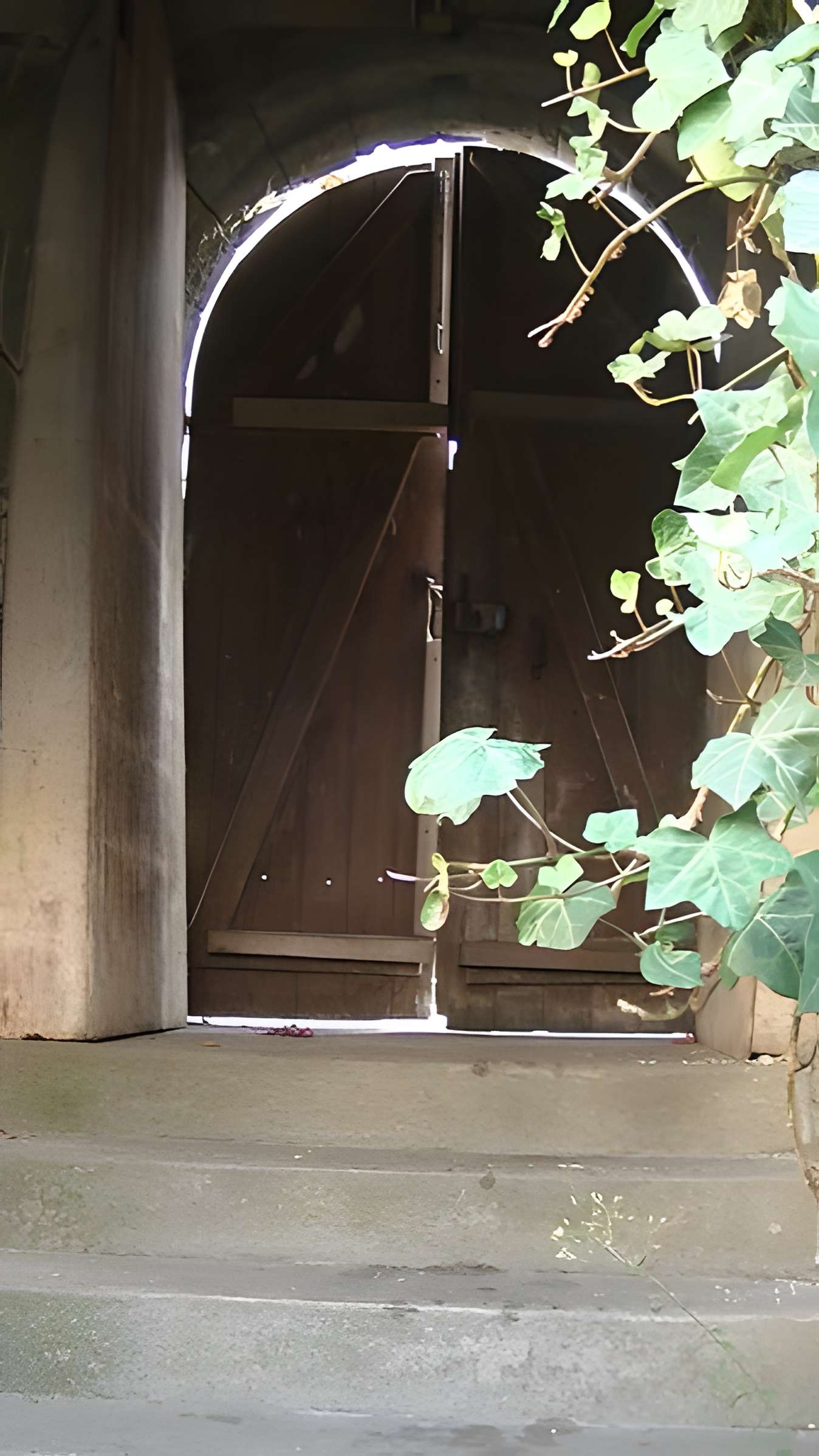 Enceinte gallo-romaine de Nantes