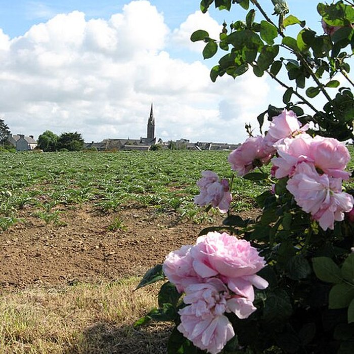 Photo de Église Saint-Pierre de Plougasnou