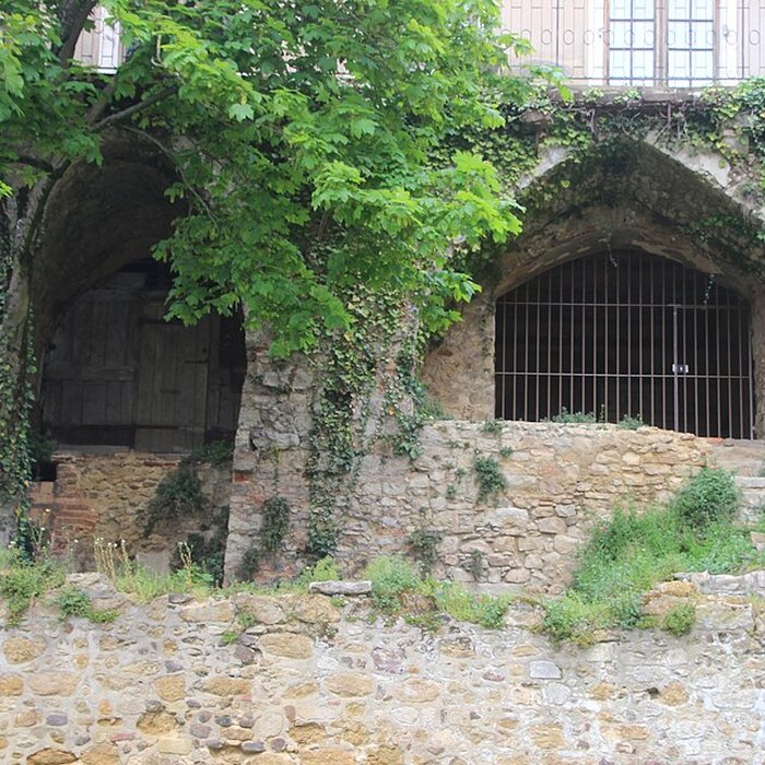 Photo de Enceinte gallo-romaine restes