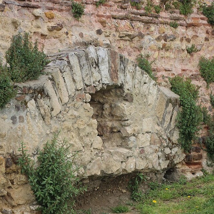 Photo de Enceinte gallo-romaine restes