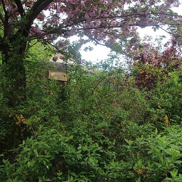 Enceinte gallo-romaine restes