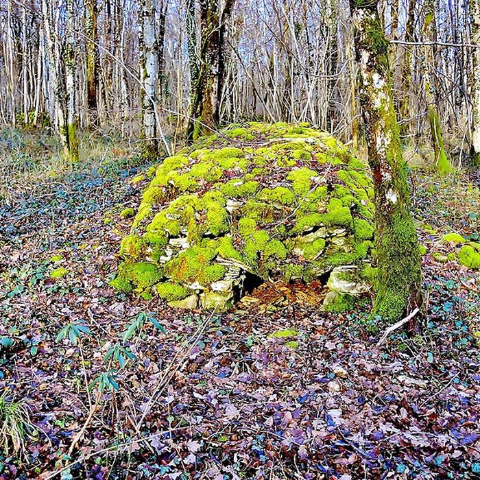 Photo de Enclos et les cabordes dÉchenoz-la-Méline
