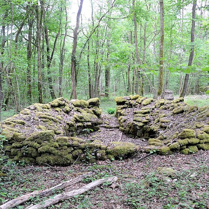 Photo de Enclos et les cabordes dÉchenoz-la-Méline