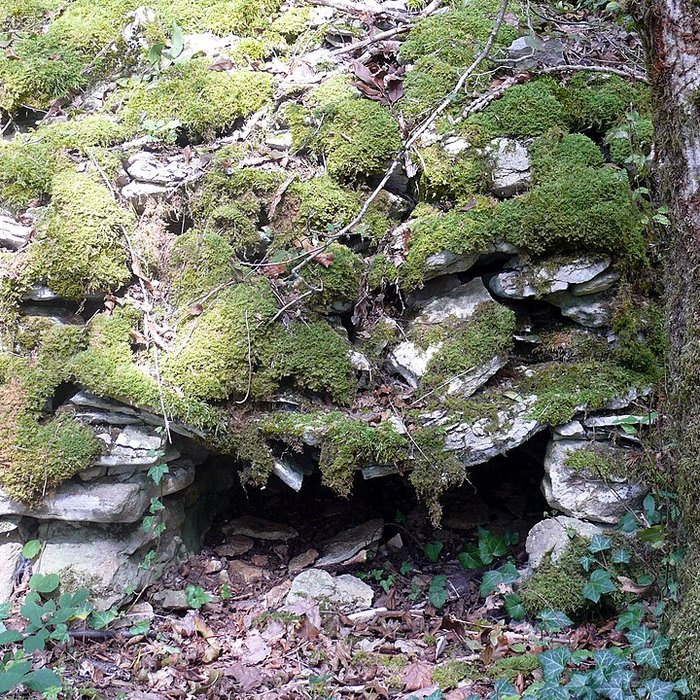 Photo de Enclos et les cabordes dÉchenoz-la-Méline