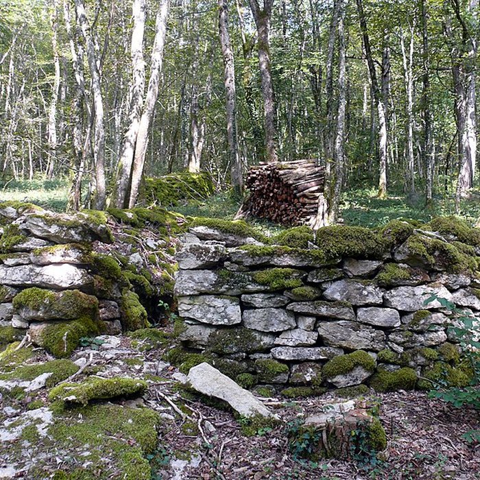 Photo de Enclos et les cabordes dÉchenoz-la-Méline