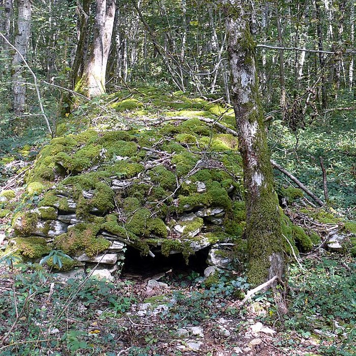 Photo de Enclos et les cabordes dÉchenoz-la-Méline