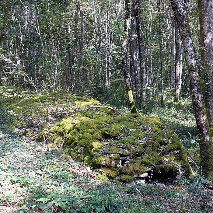 Photo de Enclos et les cabordes dÉchenoz-la-Méline