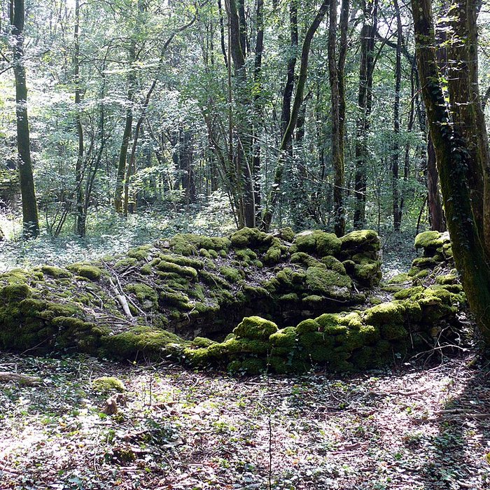 Photo de Enclos et les cabordes dÉchenoz-la-Méline