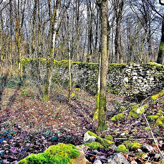 Photo de Enclos et les cabordes dÉchenoz-la-Méline