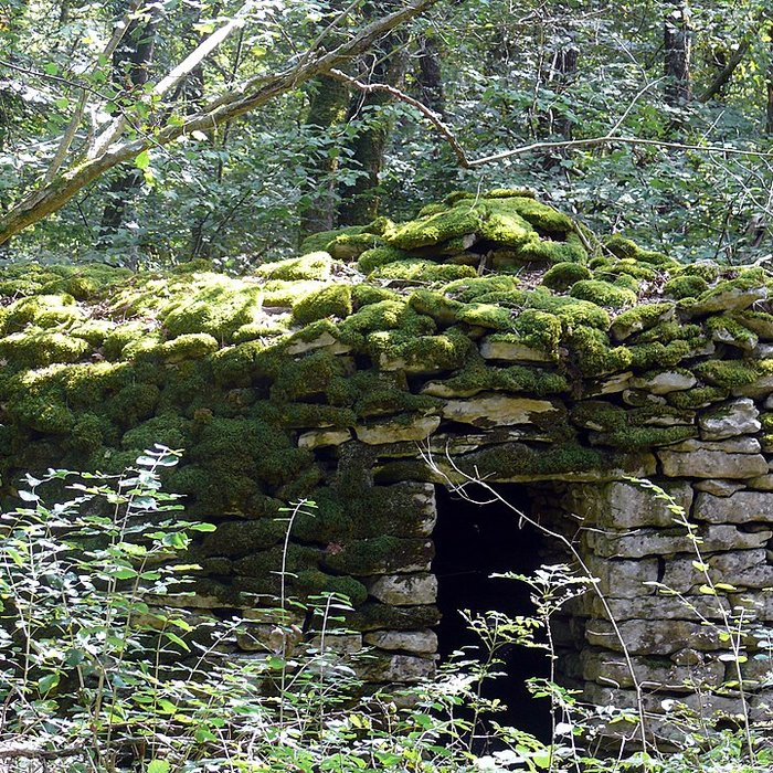 Photo de Enclos et les cabordes dÉchenoz-la-Méline