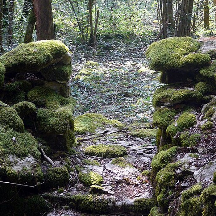 Photo de Enclos et les cabordes dÉchenoz-la-Méline