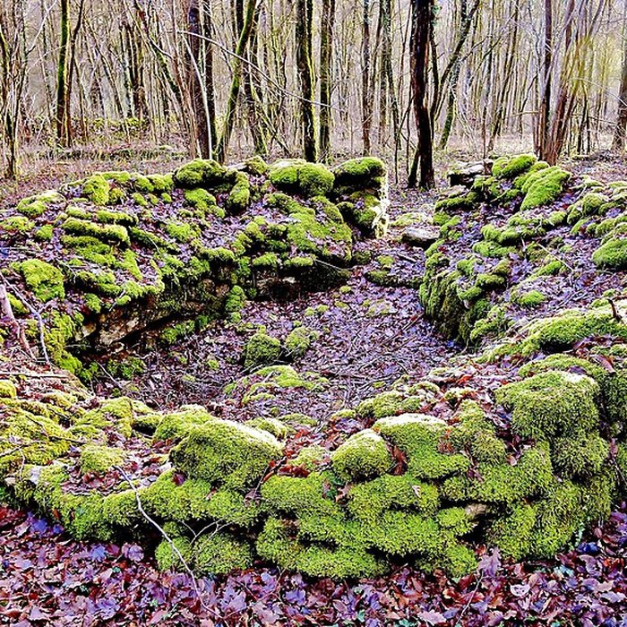 Photo de Enclos et les cabordes dÉchenoz-la-Méline