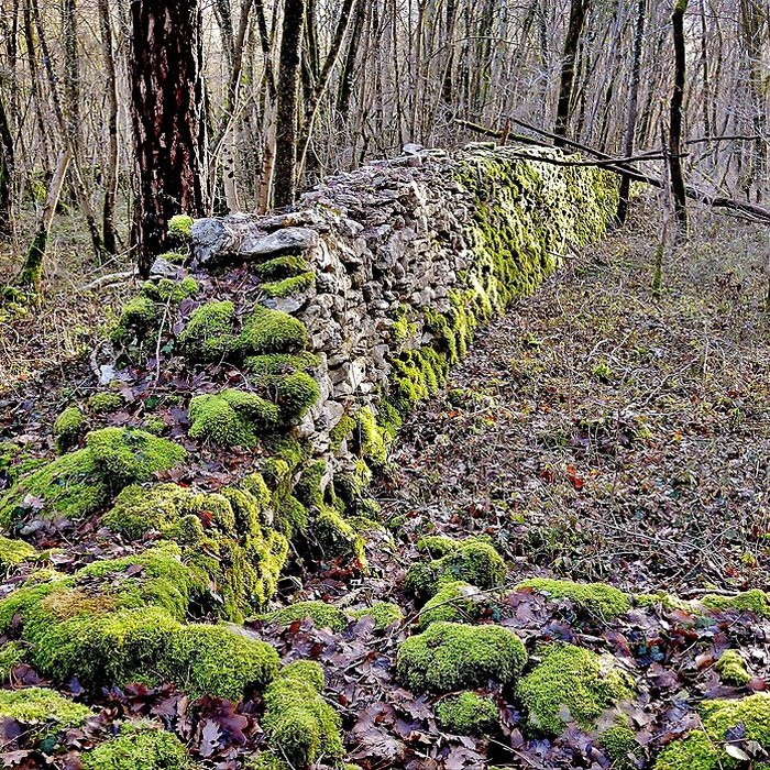 Photo de Enclos et les cabordes dÉchenoz-la-Méline