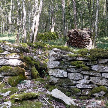 Enclos et les cabordes dÉchenoz-la-Méline