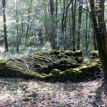 Enclos et les cabordes dÉchenoz-la-Méline