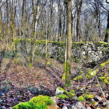 Enclos et les cabordes dÉchenoz-la-Méline