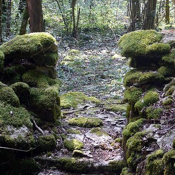 Enclos et les cabordes dÉchenoz-la-Méline