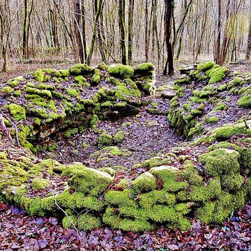 Enclos et les cabordes dÉchenoz-la-Méline