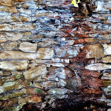 Enclos et les cabordes dÉchenoz-la-Méline