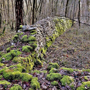 Enclos et les cabordes dÉchenoz-la-Méline