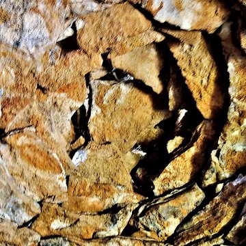 Enclos et les cabordes dÉchenoz-la-Méline