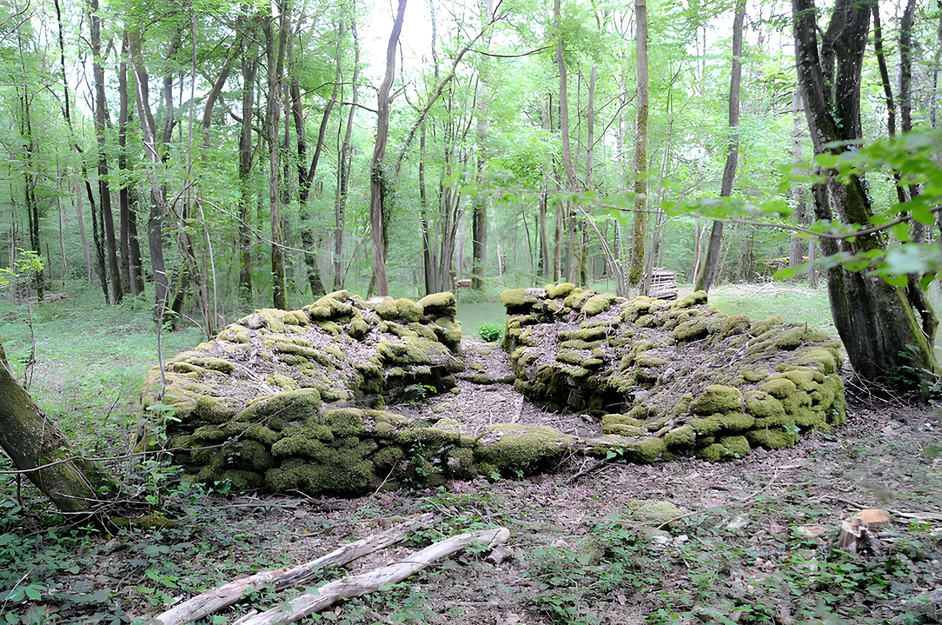 Enclos et les cabordes d'Échenoz-la-Méline