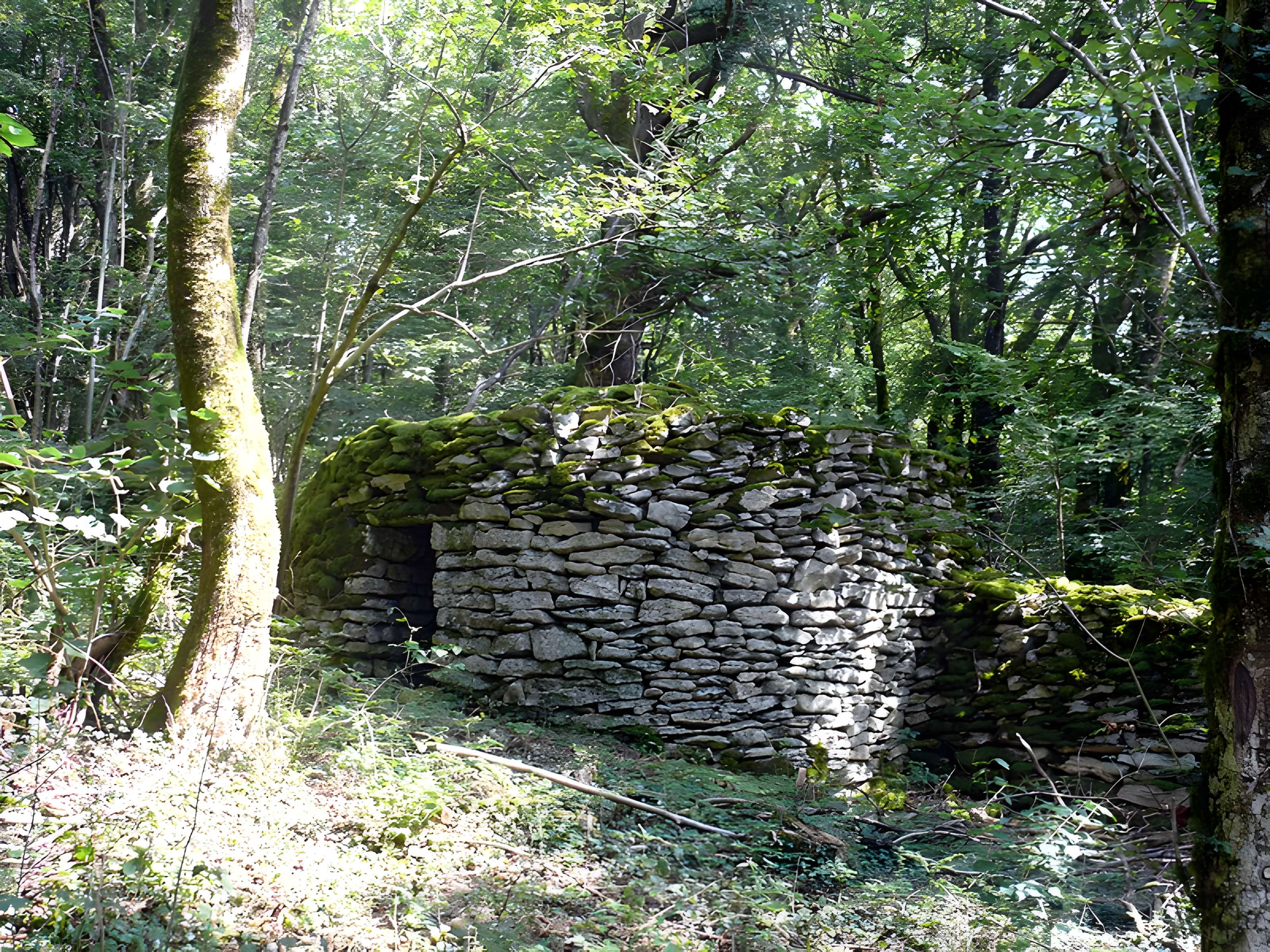 Enclos et les cabordes d'Échenoz-la-Méline