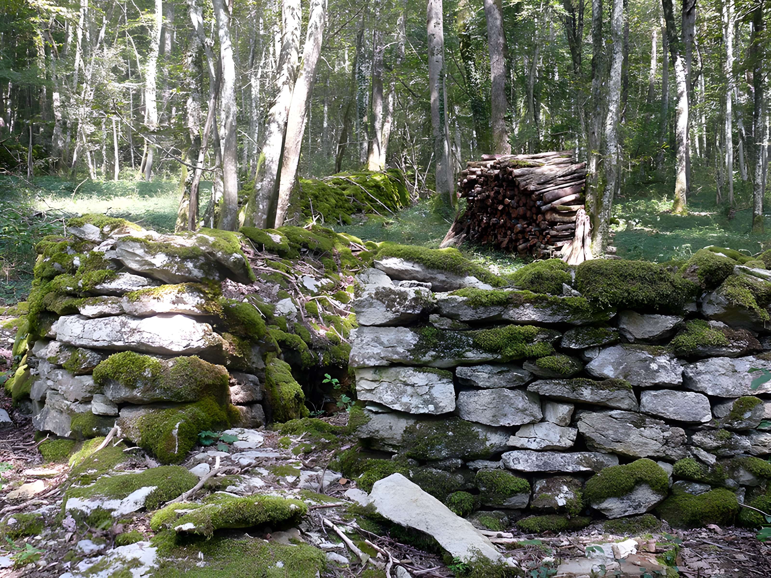 Enclos et les cabordes d'Échenoz-la-Méline