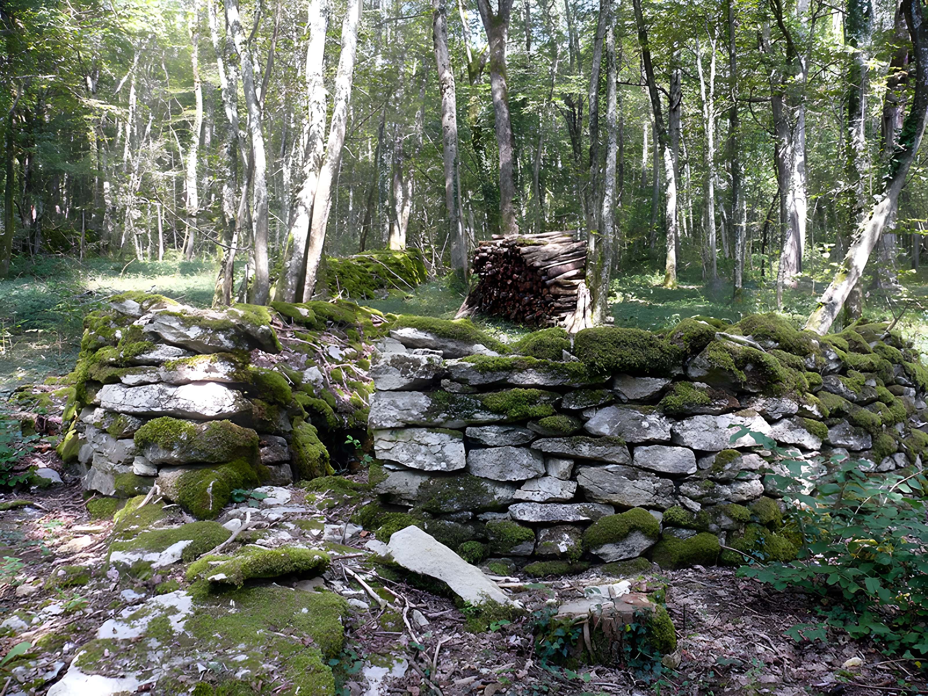 Enclos et les cabordes d'Échenoz-la-Méline