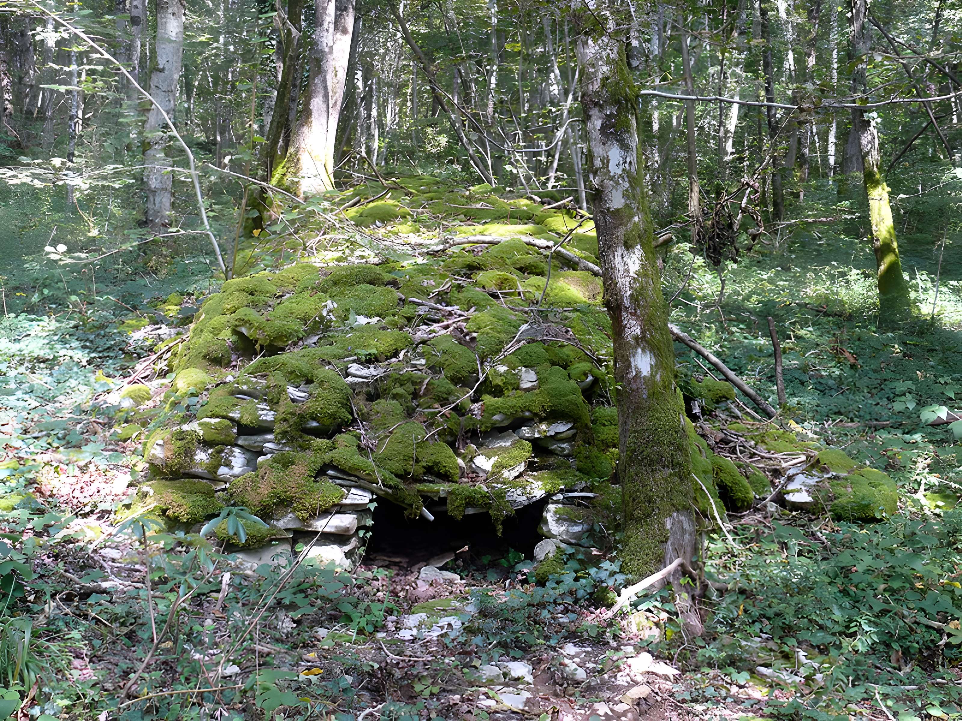 Enclos et les cabordes d'Échenoz-la-Méline