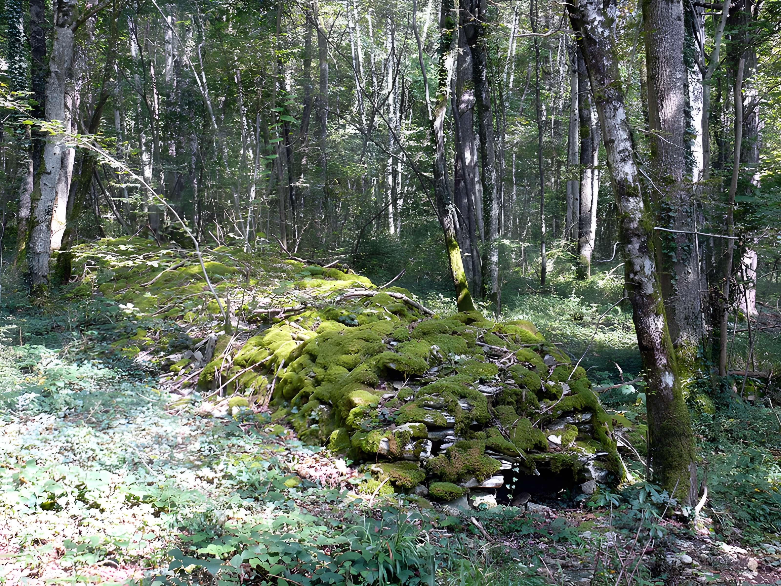 Enclos et les cabordes d'Échenoz-la-Méline