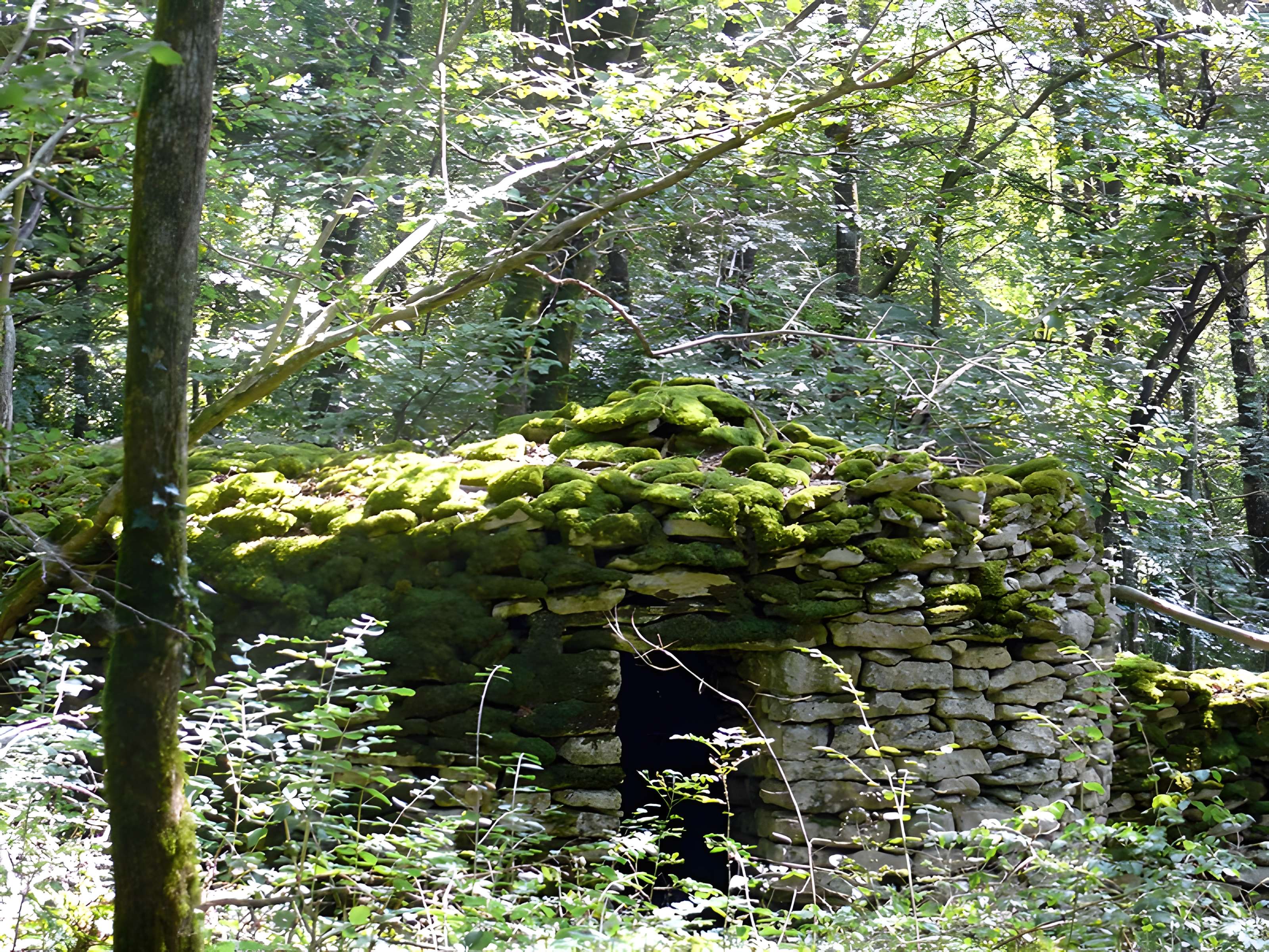 Enclos et les cabordes d'Échenoz-la-Méline