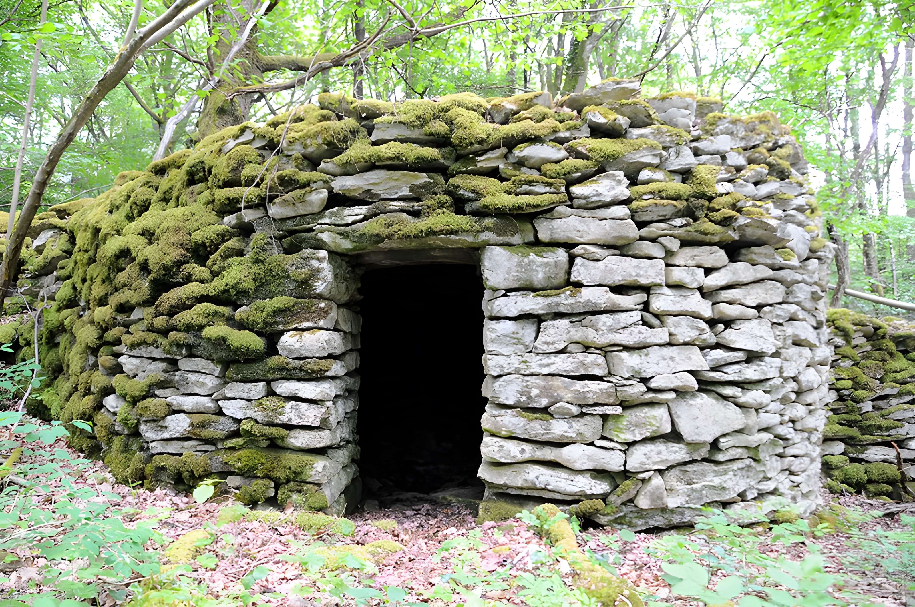 Enclos et les cabordes d'Échenoz-la-Méline