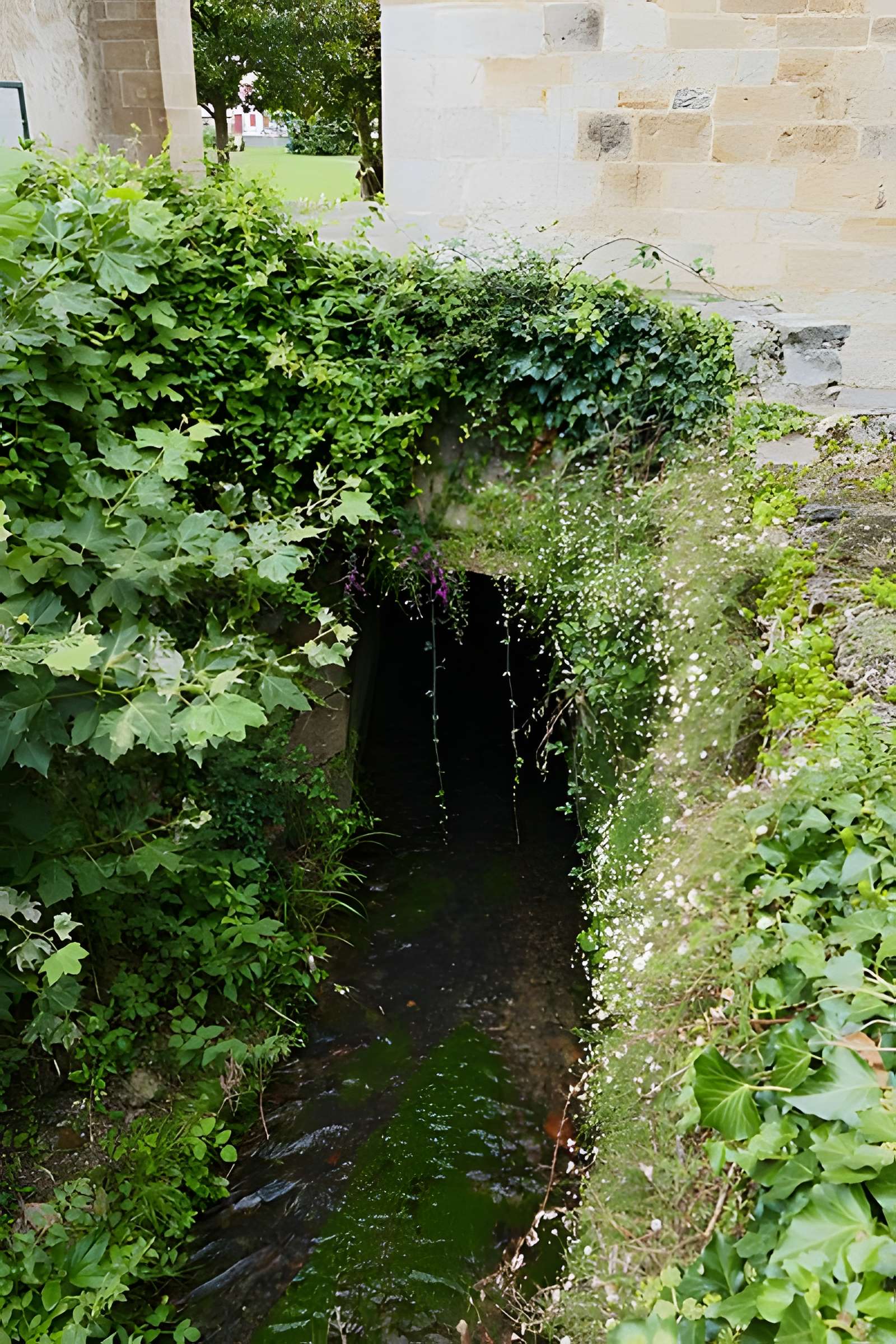 Église Saint-Pierre de Saint-Pée-sur-Nivelle
