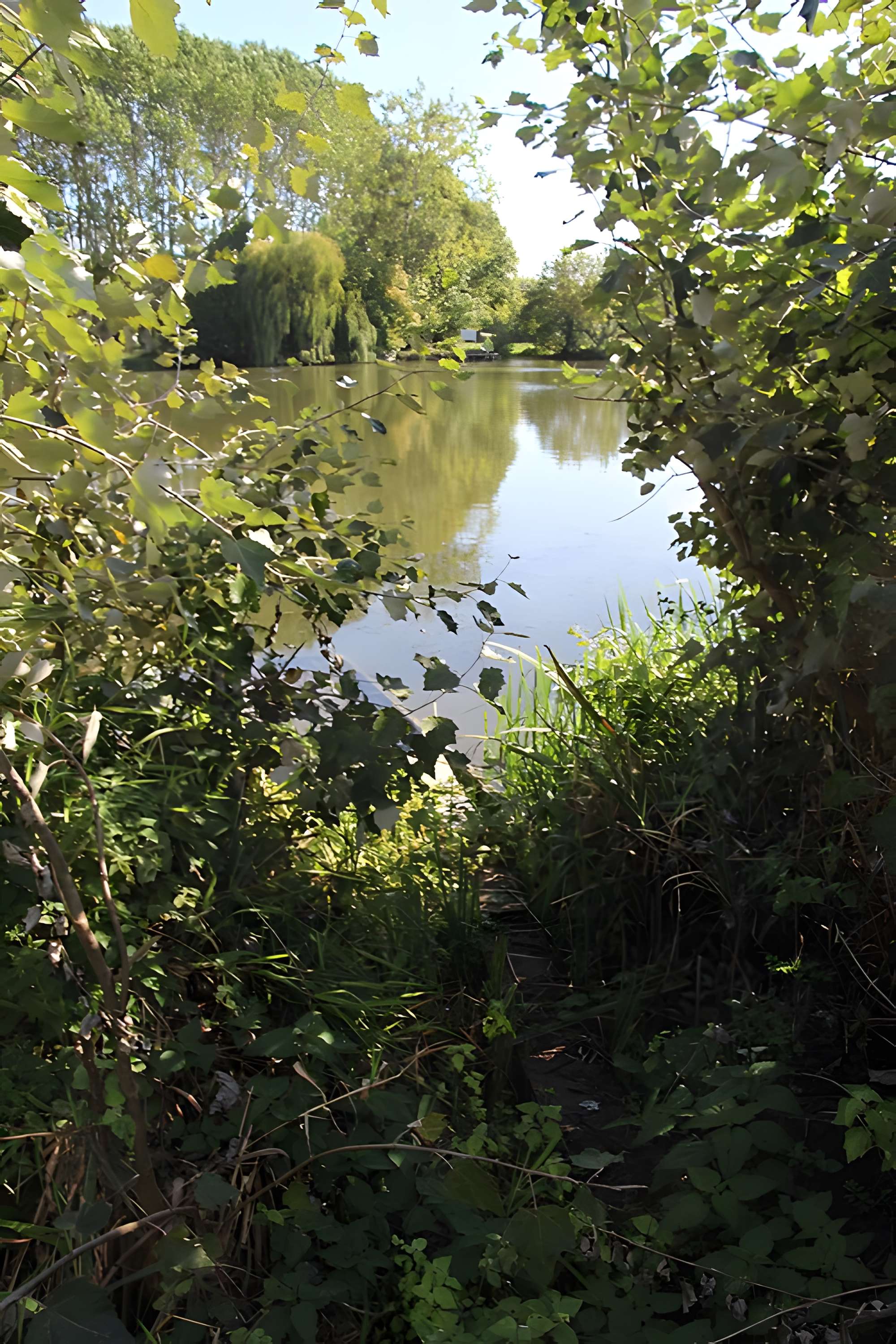 Église Saint-Pierre de Varennes-Bourreau