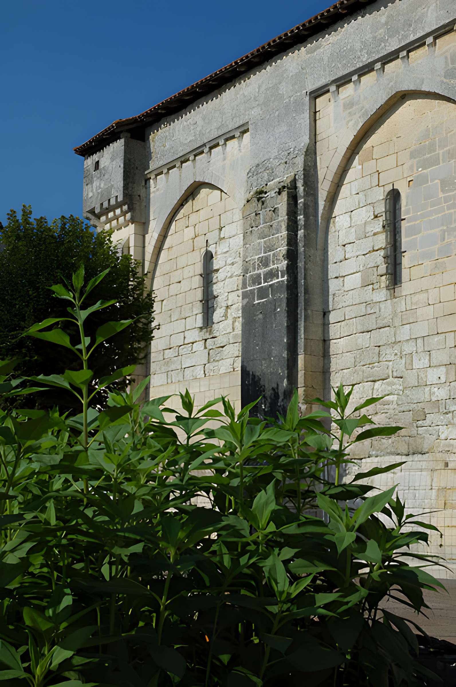 Église Saint-Pierre-ès-Liens de Vieux-Mareuil